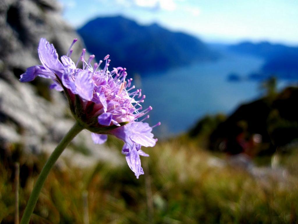 Menaggio Fronte Lago Екстериор снимка